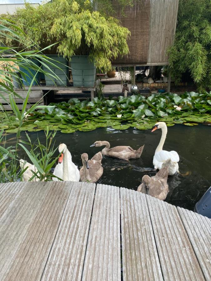 Casa Di Maksch De Miniatura Bed & Breakfast อัมสเตอร์ดัม ภายนอก รูปภาพ